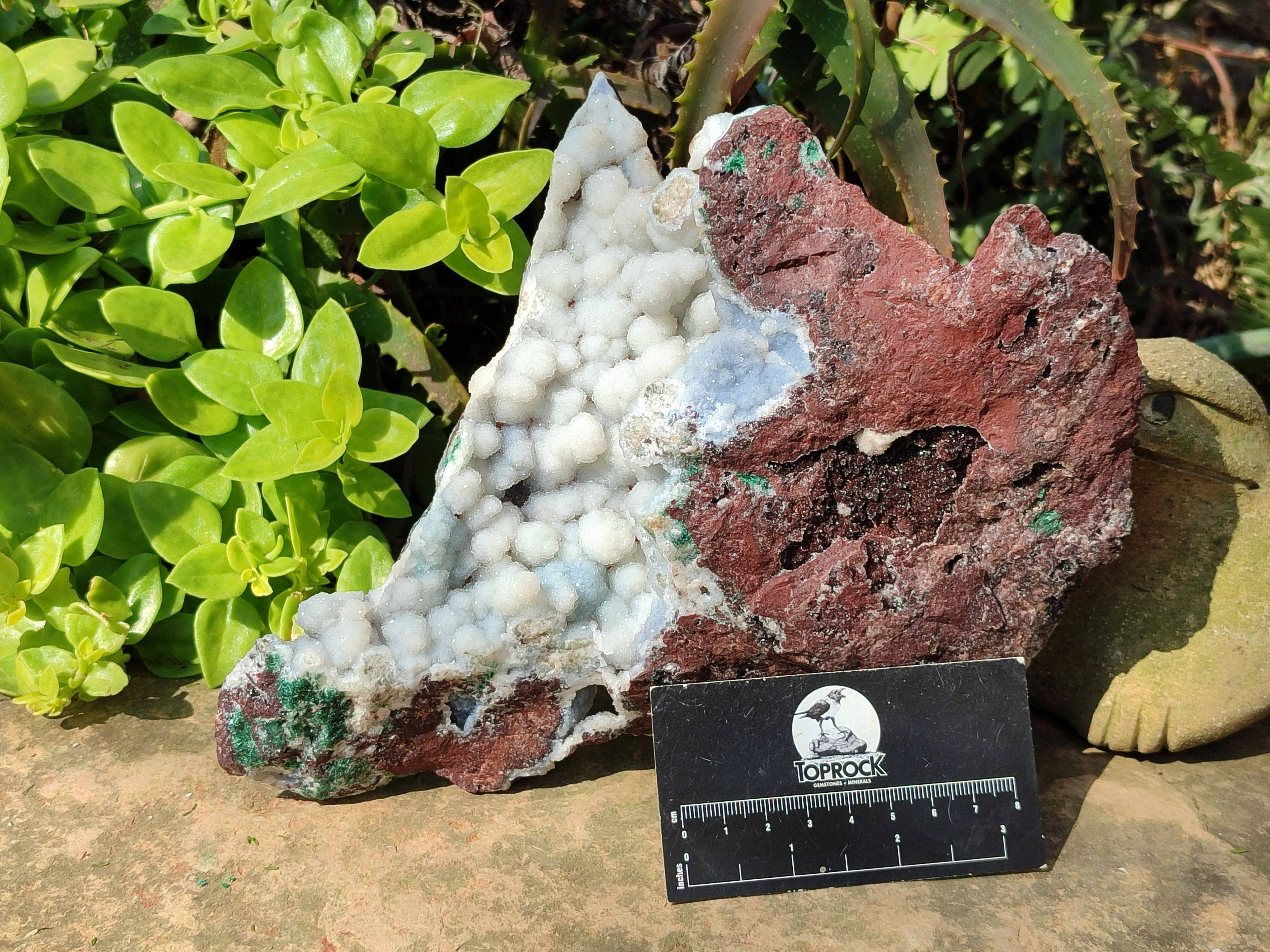 Natural Drusy And Malachite On Dolomite Matrix Specimens x 1 From Kambove, Congo - Toprock Gemstones and Minerals 