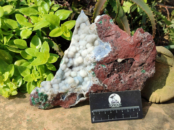 Natural Drusy And Malachite On Dolomite Matrix Specimens x 1 From Kambove, Congo
