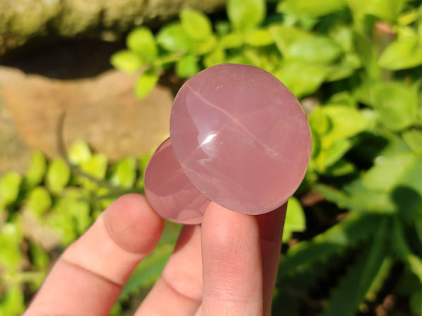 Polished Gemmy Rose Quartz Mushrooms x 20 From Madagascar