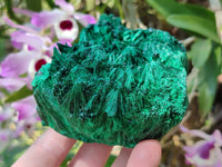 Natural Silky Malachite Specimens x 2 From Kasompe, Congo