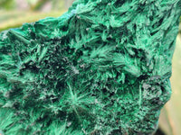 Natural Silky Malachite Specimens x 2 From Kasompe, Congo
