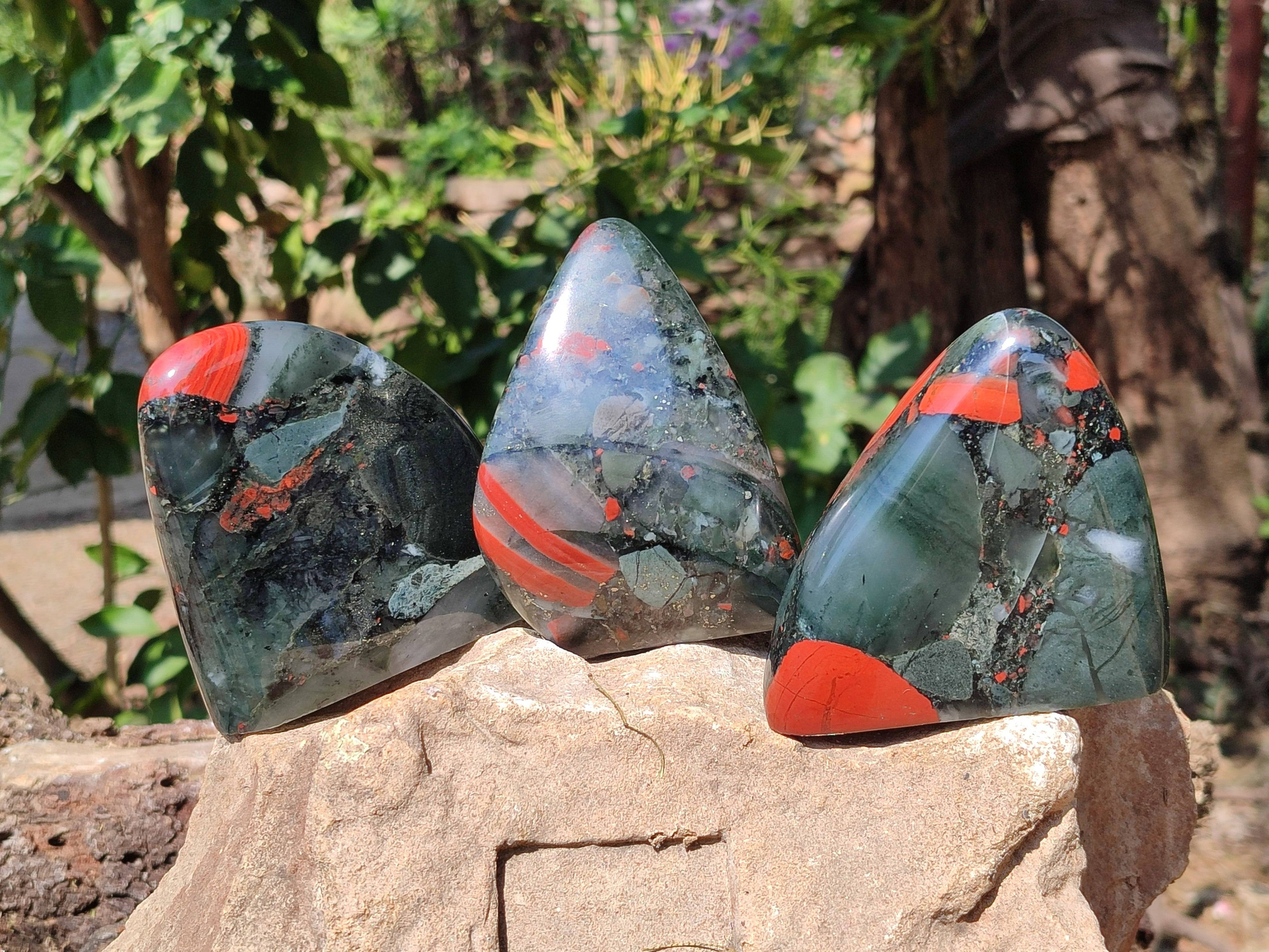 Polished Bloodstone Standing Free Forms x 3 From Swaziland - Toprock Gemstones and Minerals 
