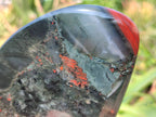 Polished Bloodstone Standing Free Forms x 3 From Swaziland - Toprock Gemstones and Minerals 