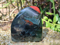Polished Bloodstone Standing Free Forms x 3 From Swaziland
