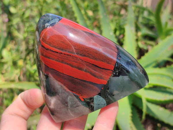 Polished Bloodstone Standing Free Forms x 3 From Swaziland