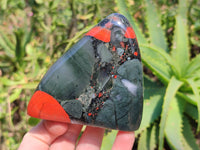 Polished Bloodstone Standing Free Forms x 3 From Swaziland