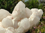 Natural Quartz Clusters x 2 From Madagascar - Toprock Gemstones and Minerals 