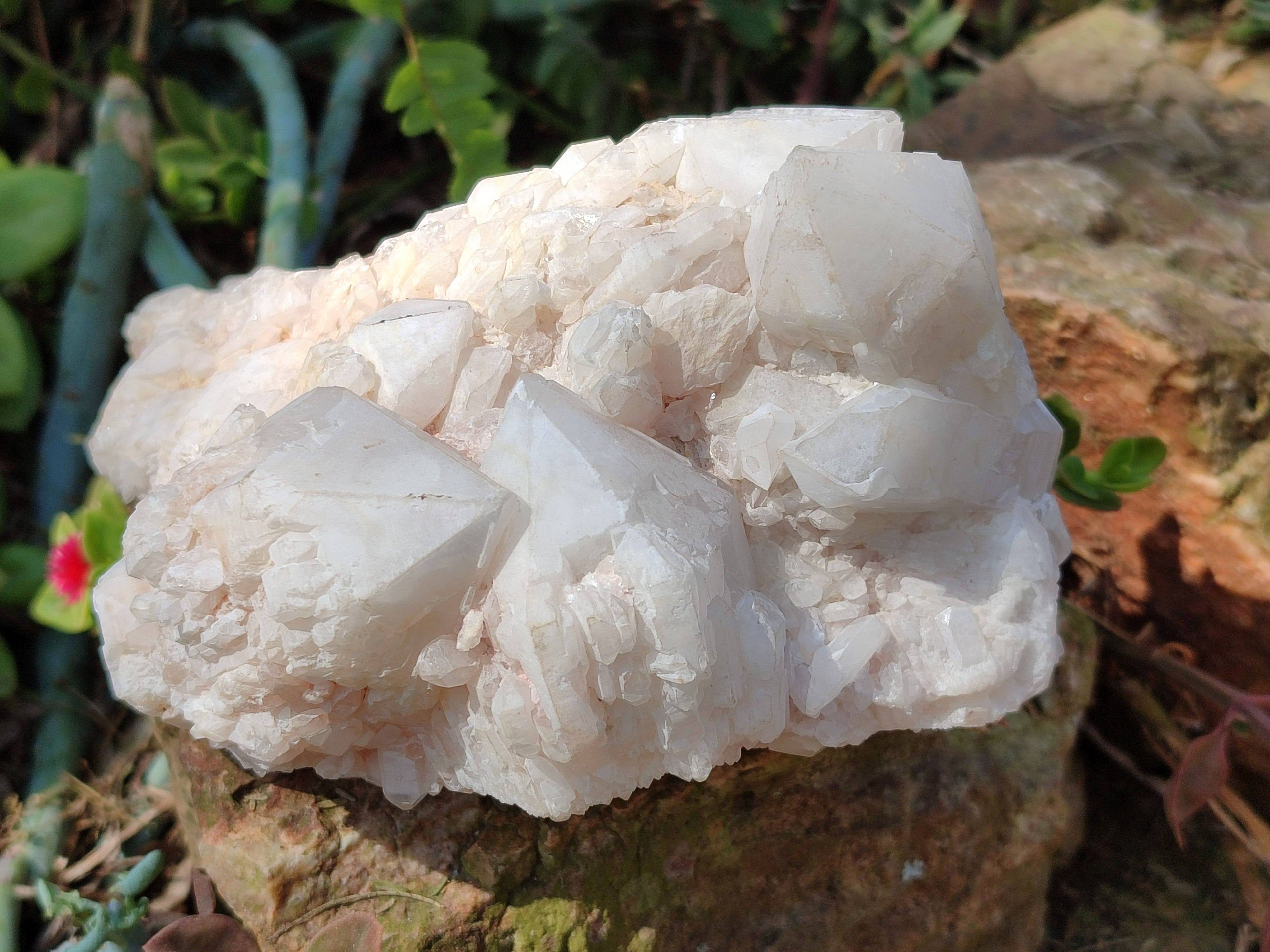 Natural Quartz Clusters x 2 From Madagascar - Toprock Gemstones and Minerals 
