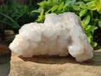 Natural Quartz Clusters x 2 From Madagascar - Toprock Gemstones and Minerals 