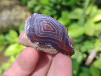 Polished On One Side, Sashe River Agate Nodules x 28 From Zimbabwe