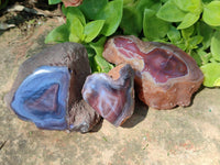 Polished On One Side, Sashe River Agate Nodules x 28 From Zimbabwe