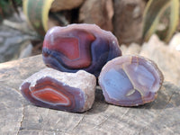 Polished On One Side, Sashe River Agate Nodules x 28 From Zimbabwe