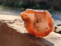 Polished On One Side, Sashe River Agate Nodules x 28 From Zimbabwe