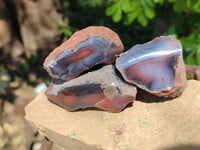 Polished On One Side, Sashe River Agate Nodules x 28 From Zimbabwe
