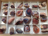 Polished On One Side, Sashe River Agate Nodules x 28 From Zimbabwe