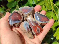 Polished On One Side, Sashe River Agate Nodules x 28 From Zimbabwe