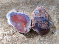 Polished On One Side, Sashe River Agate Nodules x 28 From Zimbabwe