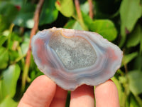 Polished On One Side, Sashe River Agate Nodules x 28 From Zimbabwe