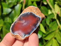 Polished On One Side, Sashe River Agate Nodules x 28 From Zimbabwe