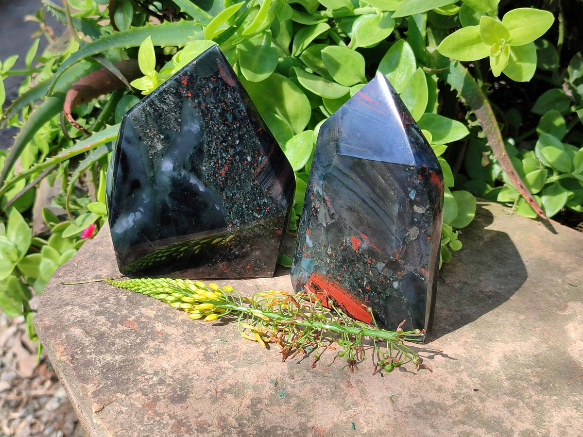 Polished Bloodstone Points x 2 From Swaziland - Toprock Gemstones and Minerals 