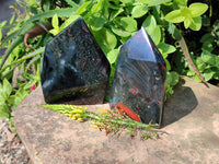 Polished Bloodstone Points x 2 From Swaziland