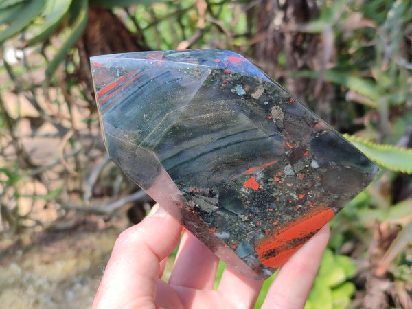 Polished Bloodstone Points x 2 From Swaziland