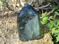 Polished Bloodstone Points x 2 From Swaziland