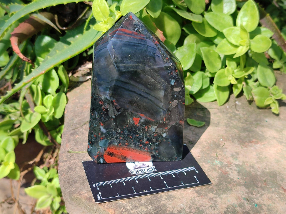 Polished Bloodstone Points x 2 From Swaziland - Toprock Gemstones and Minerals 
