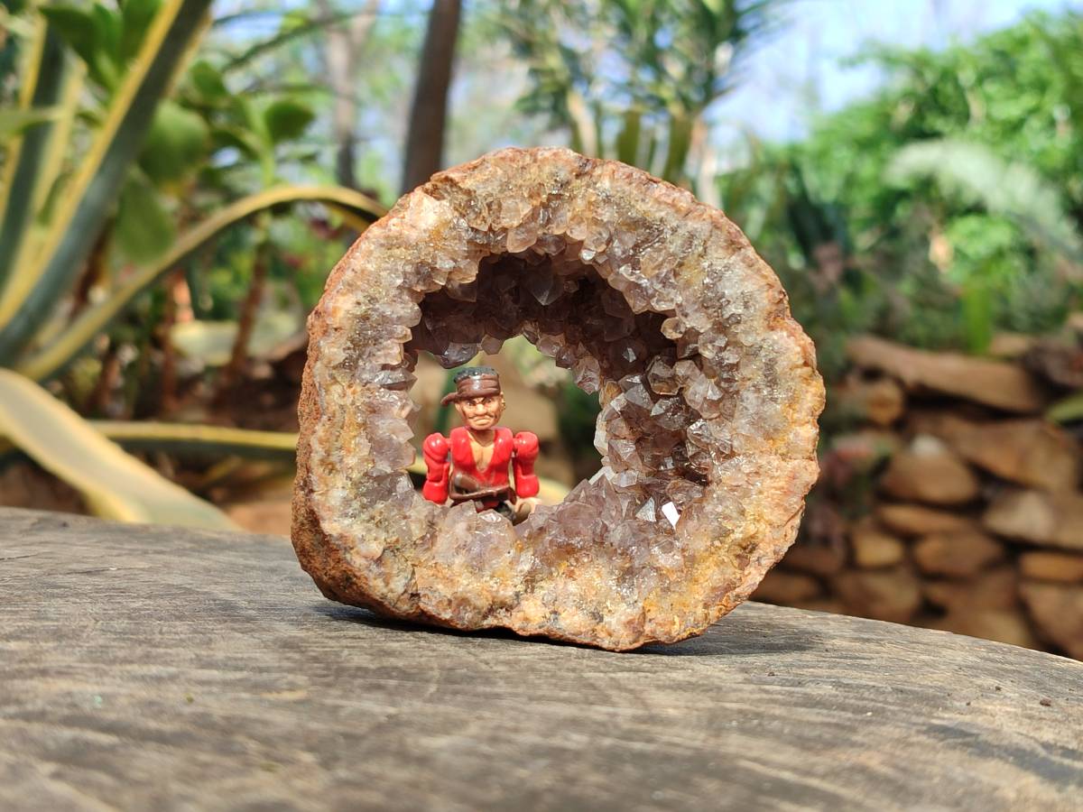 Natural Zululand Amethyst Geodes x 6 From Jozini, South Africa - Toprock Gemstones and Minerals 