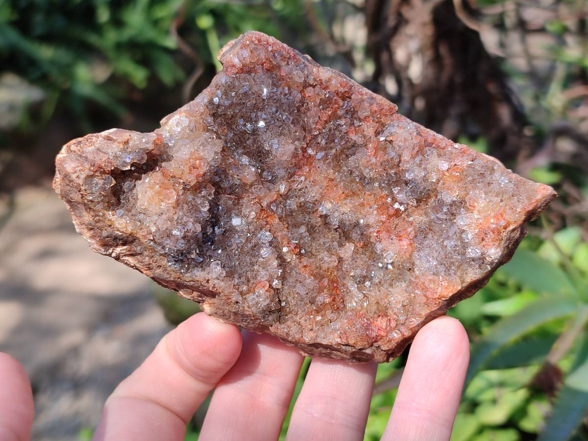 Natural Zululand Amethyst Geodes x 6 From Jozini, South Africa - Toprock Gemstones and Minerals 