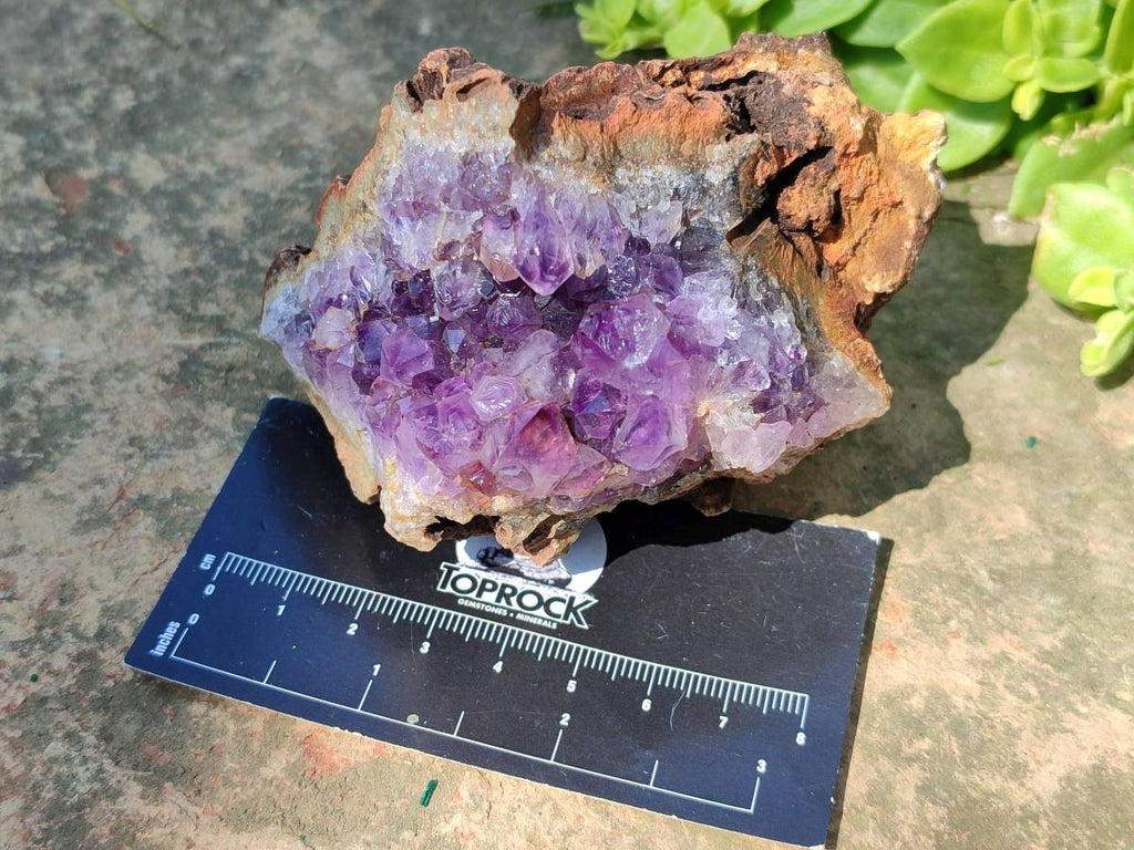 Natural Zululand Amethyst Geodes x 6 From Jozini, South Africa - Toprock Gemstones and Minerals 
