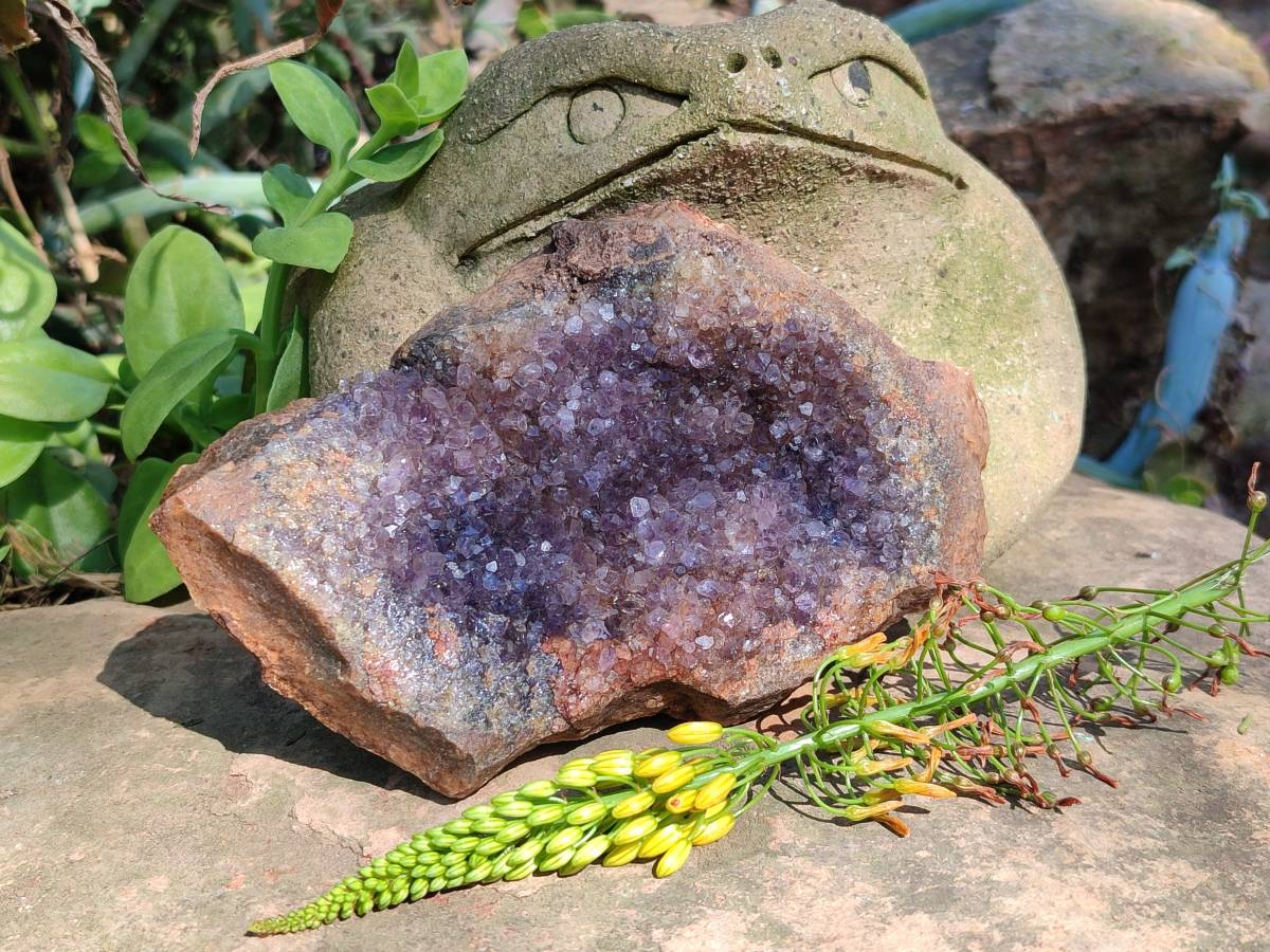 Natural Zululand Amethyst Geodes x 6 From Jozini, South Africa - Toprock Gemstones and Minerals 