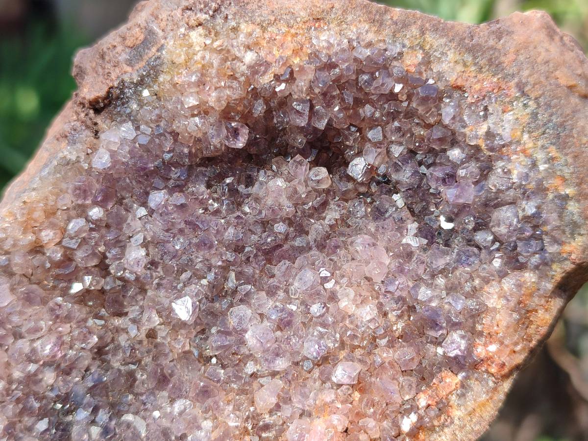 Natural Zululand Amethyst Geodes x 6 From Jozini, South Africa - Toprock Gemstones and Minerals 