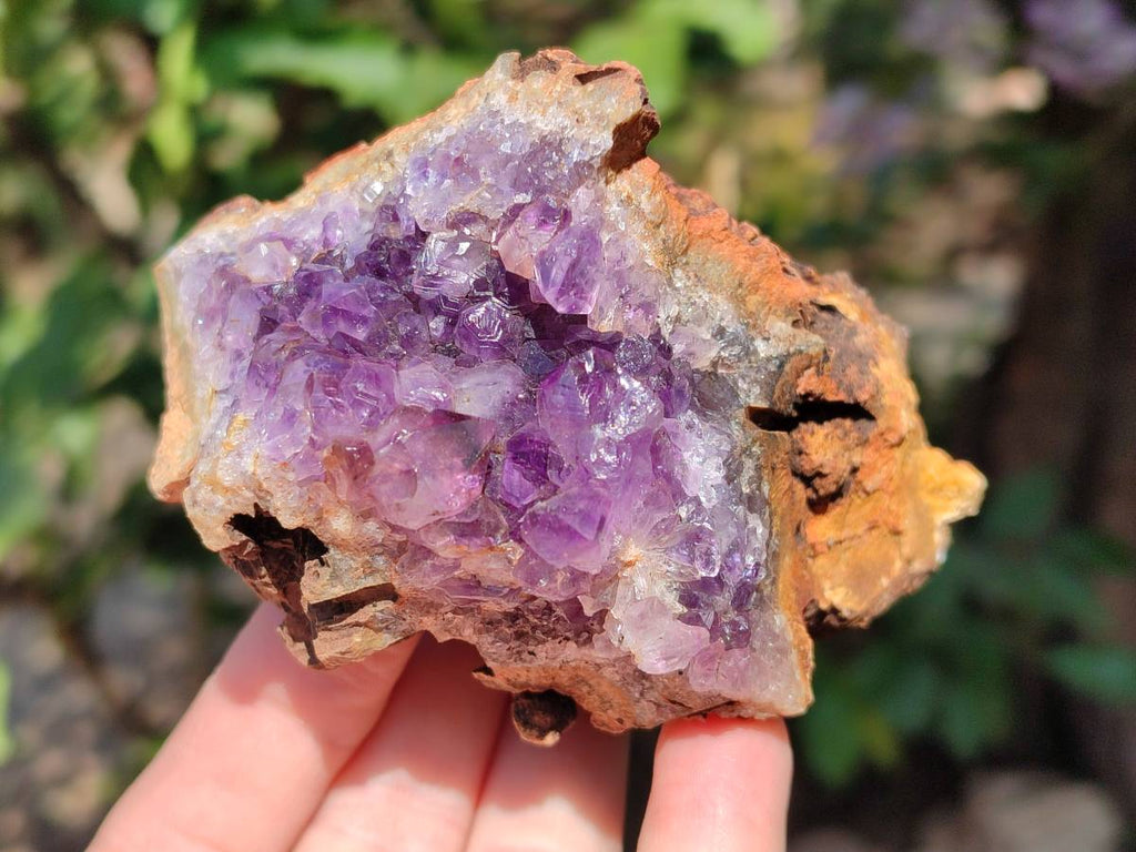 Natural Zululand Amethyst Geodes x 6 From Jozini, South Africa - Toprock Gemstones and Minerals 