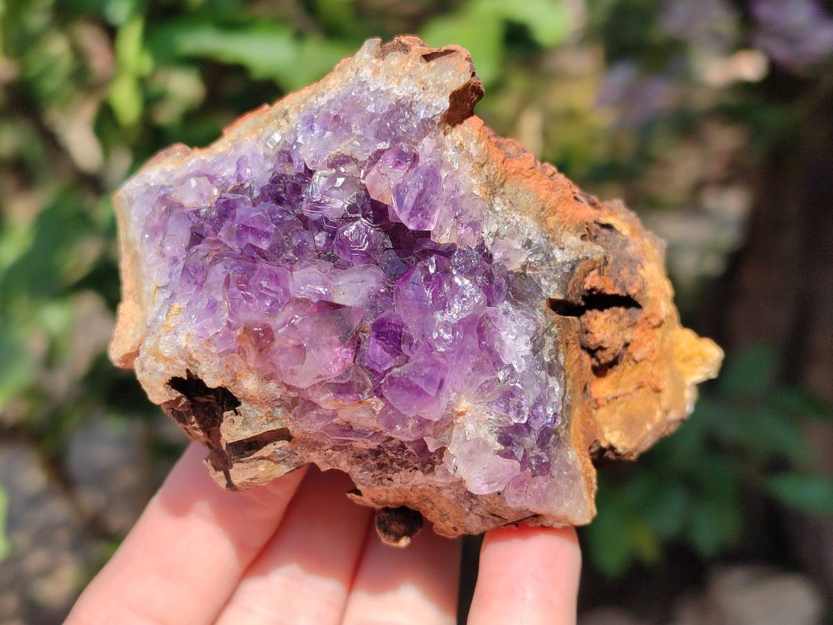 Natural Zululand Amethyst Geodes x 6 From Jozini, South Africa - Toprock Gemstones and Minerals 