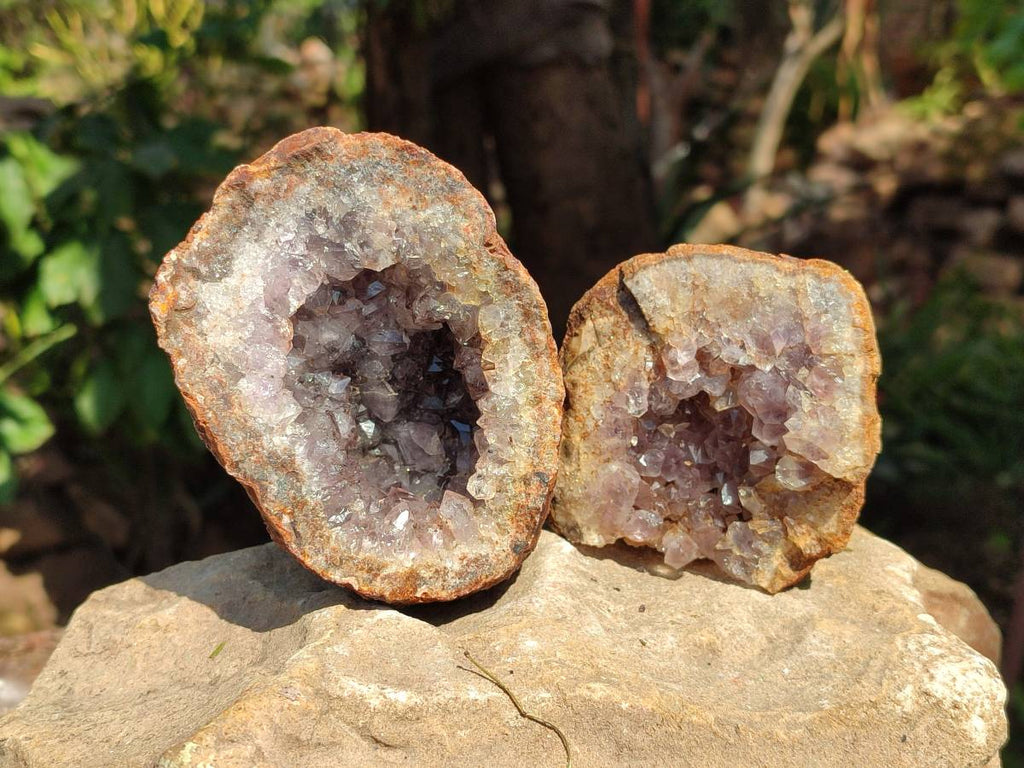 Natural Zululand Amethyst Geodes x 6 From Jozini, South Africa - Toprock Gemstones and Minerals 