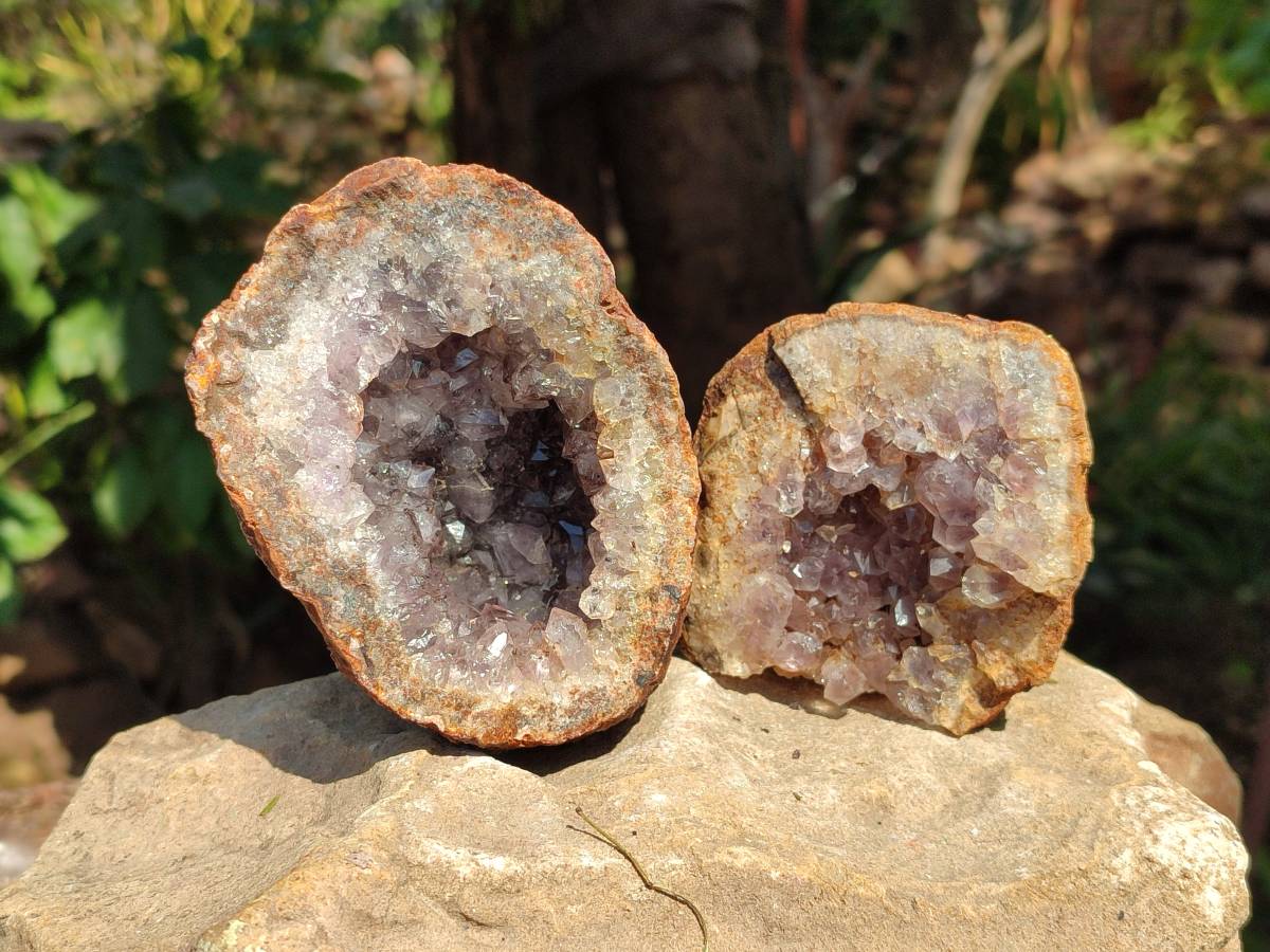 Natural Zululand Amethyst Geodes x 6 From Jozini, South Africa - Toprock Gemstones and Minerals 