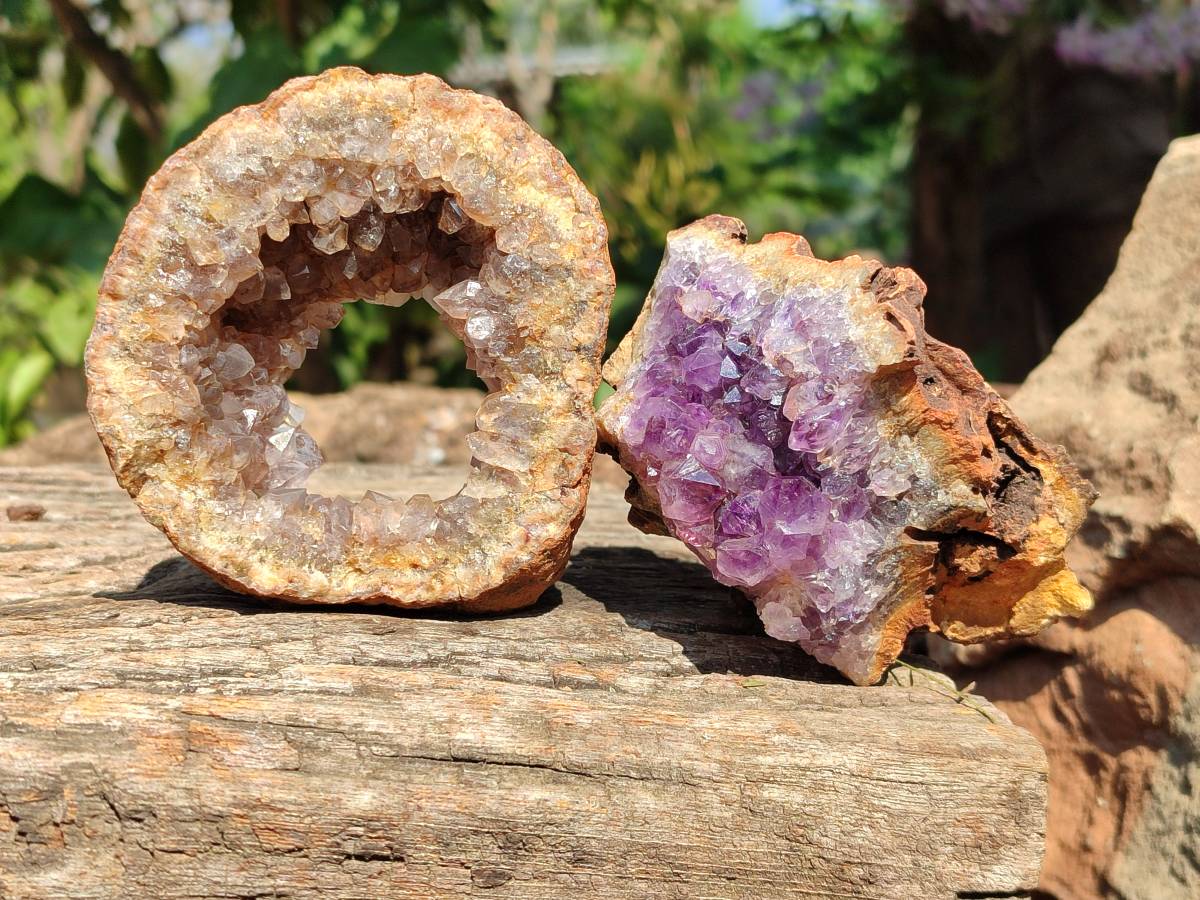 Natural Zululand Amethyst Geodes x 6 From Jozini, South Africa - Toprock Gemstones and Minerals 