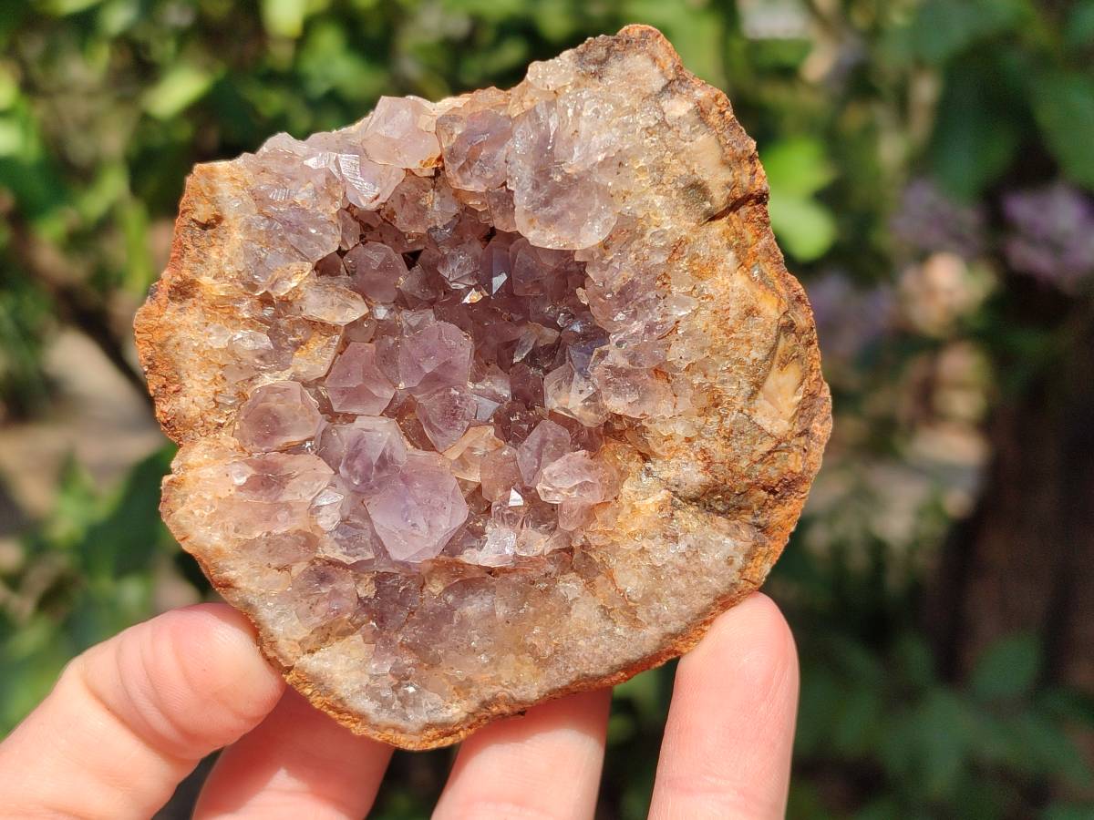 Natural Zululand Amethyst Geodes x 6 From Jozini, South Africa - Toprock Gemstones and Minerals 