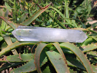 Double Terminated Polished 'Wand' Quartz Crystals x 6 From Madagascar