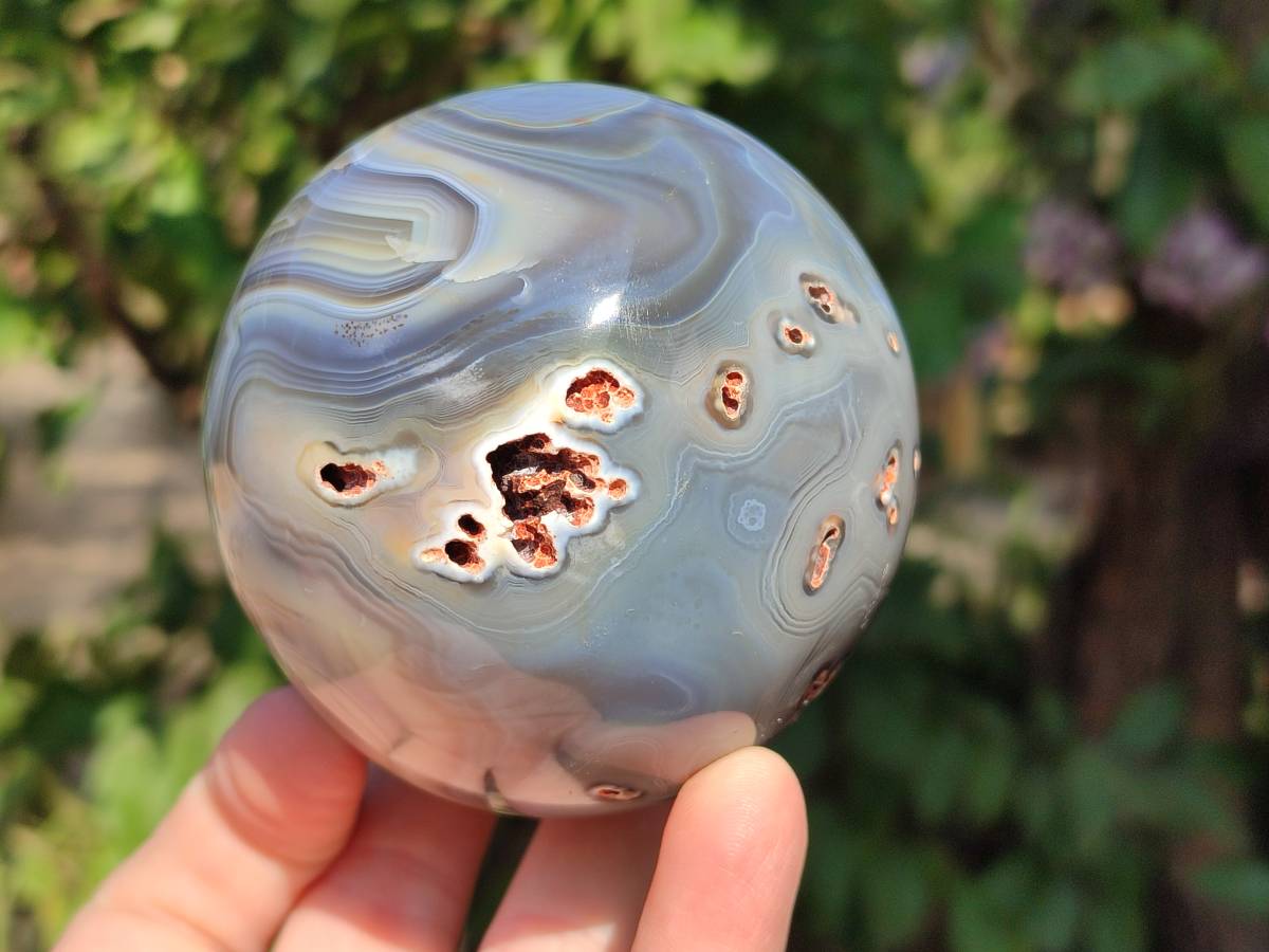 Polished Banded Agate Spheres x 2 From Madagascar - Toprock Gemstones and Minerals 