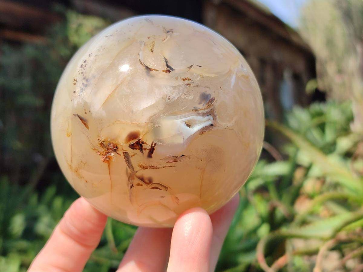 Polished Banded Agate Spheres x 2 From Madagascar - Toprock Gemstones and Minerals 