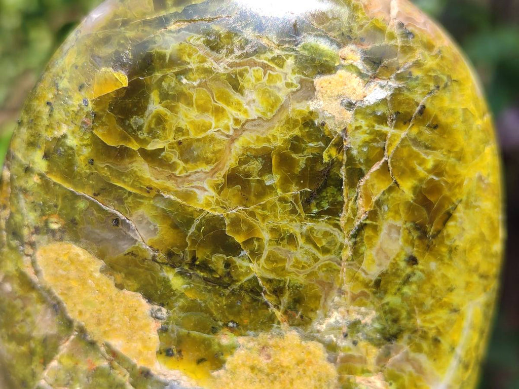 Polished Green Opal Standing Free Forms x 2 From Antsirabe, Madagascar - Toprock Gemstones and Minerals 