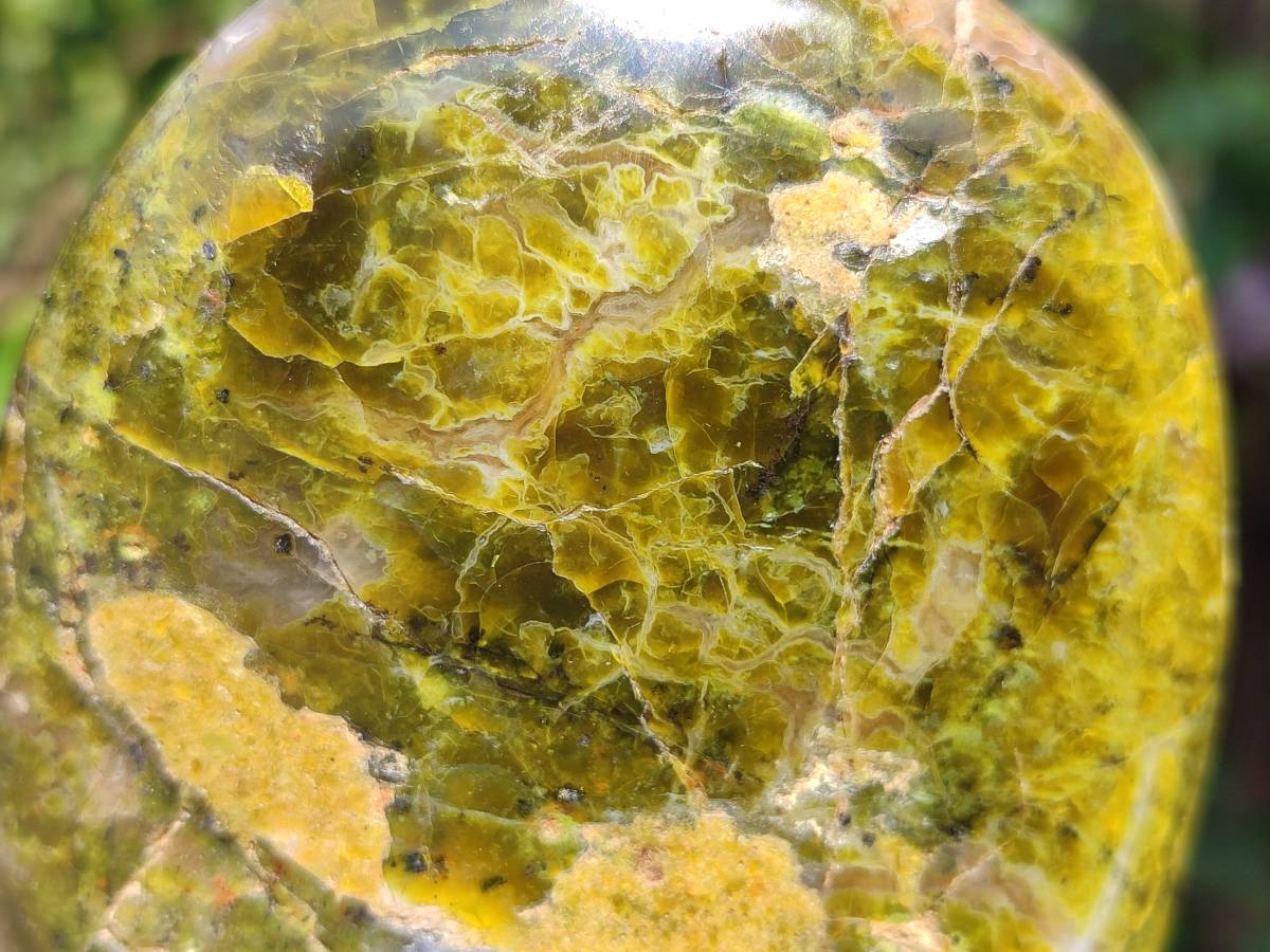 Polished Green Opal Standing Free Forms x 2 From Antsirabe, Madagascar - Toprock Gemstones and Minerals 