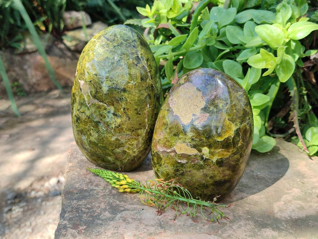 Polished Green Opal Standing Free Forms x 2 From Antsirabe, Madagascar - Toprock Gemstones and Minerals 