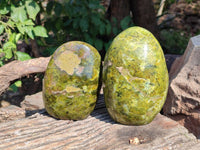 Polished Green Opal Standing Free Forms x 2 From Antsirabe, Madagascar