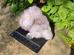 Natural Amethyst Spirit Quartz Clusters x 6 From Boekenhouthoek, South Africa - Toprock Gemstones and Minerals 