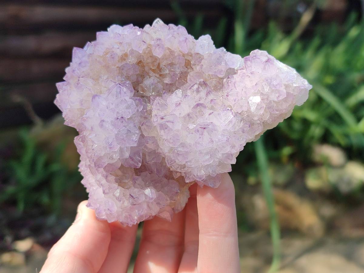 Natural Amethyst Spirit Quartz Clusters x 6 From Boekenhouthoek, South Africa - Toprock Gemstones and Minerals 