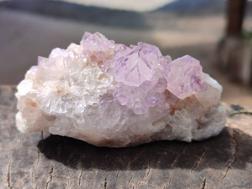 Natural Amethyst Spirit Quartz Clusters x 6 From Boekenhouthoek, South Africa - Toprock Gemstones and Minerals 