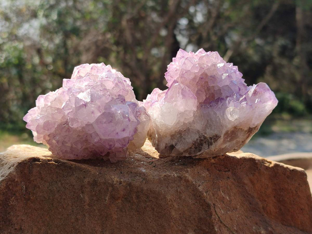 Natural Amethyst Spirit Quartz Clusters x 6 From Boekenhouthoek, South Africa - Toprock Gemstones and Minerals 